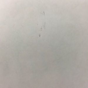 Meet your Posher, Joe